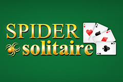 Spider Solitaire Online - card game